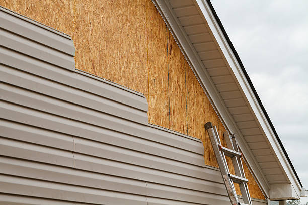 Professional Vinyl Siding technician working in Webster, FL